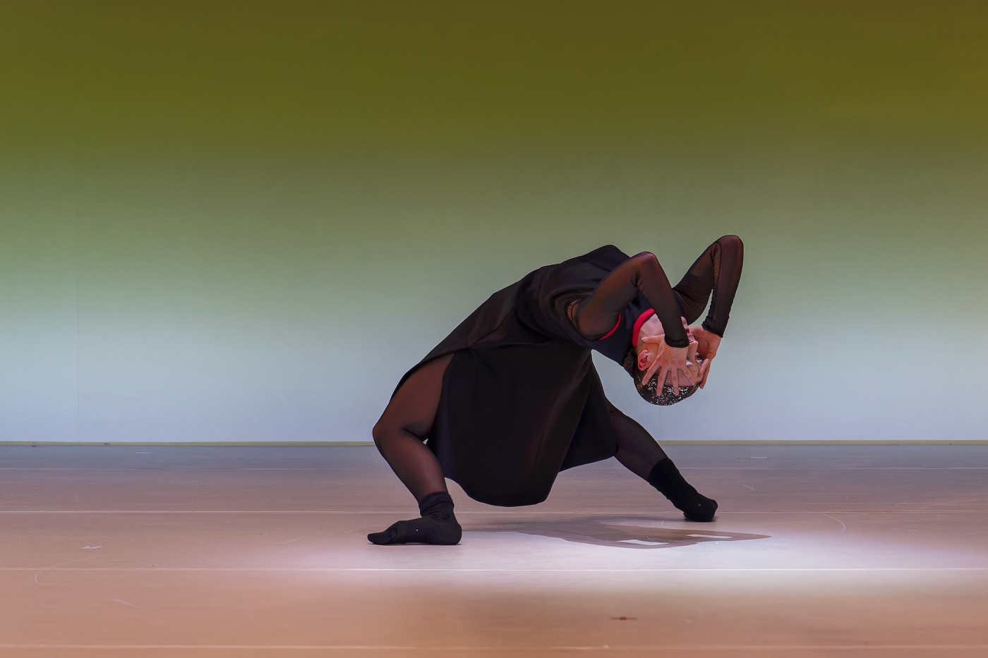 Swan – a Different Story, Luzerner Theater, Foto: Ingo Hoehn