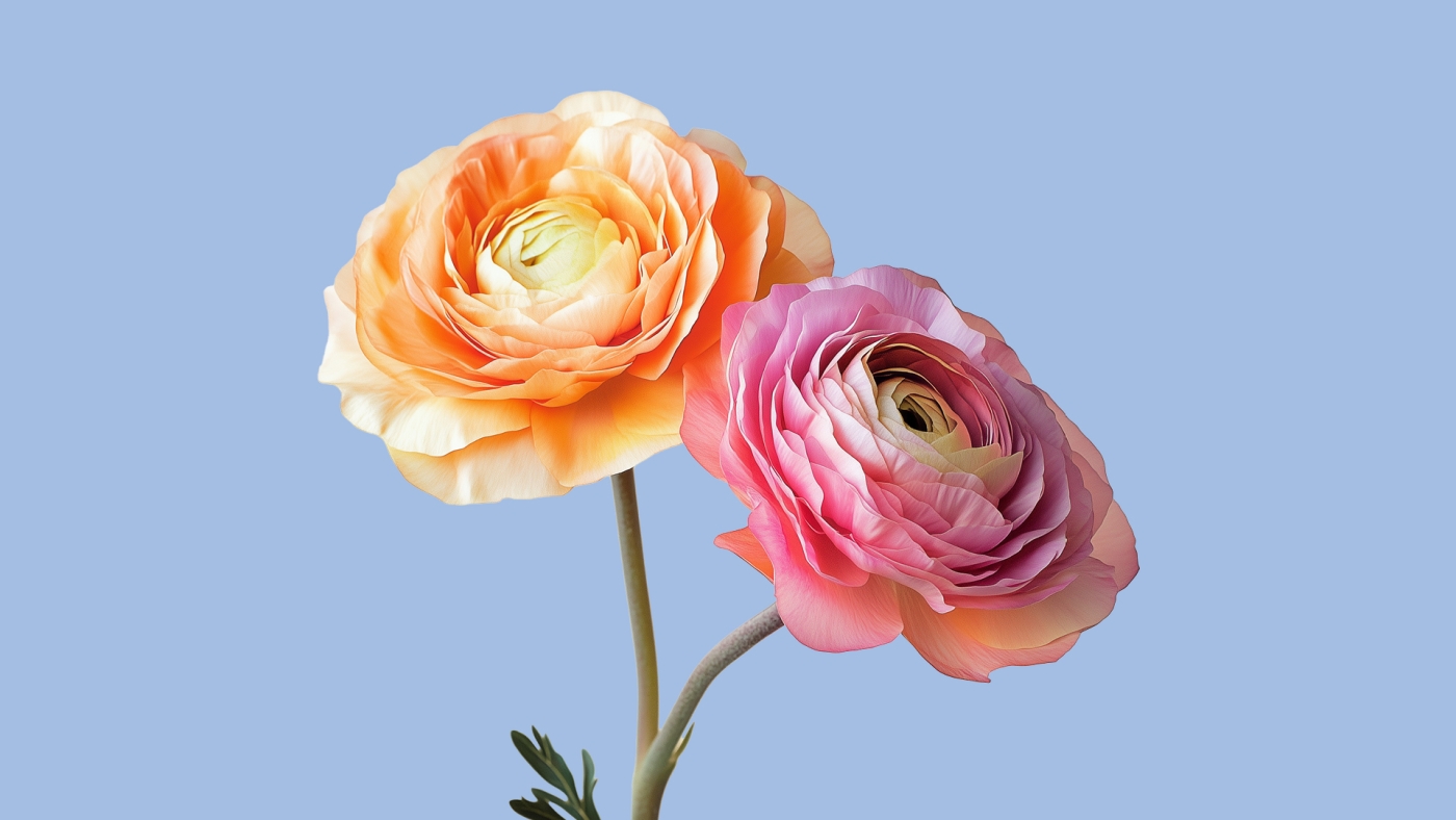 Frühlingsaktion Luzerner Theater