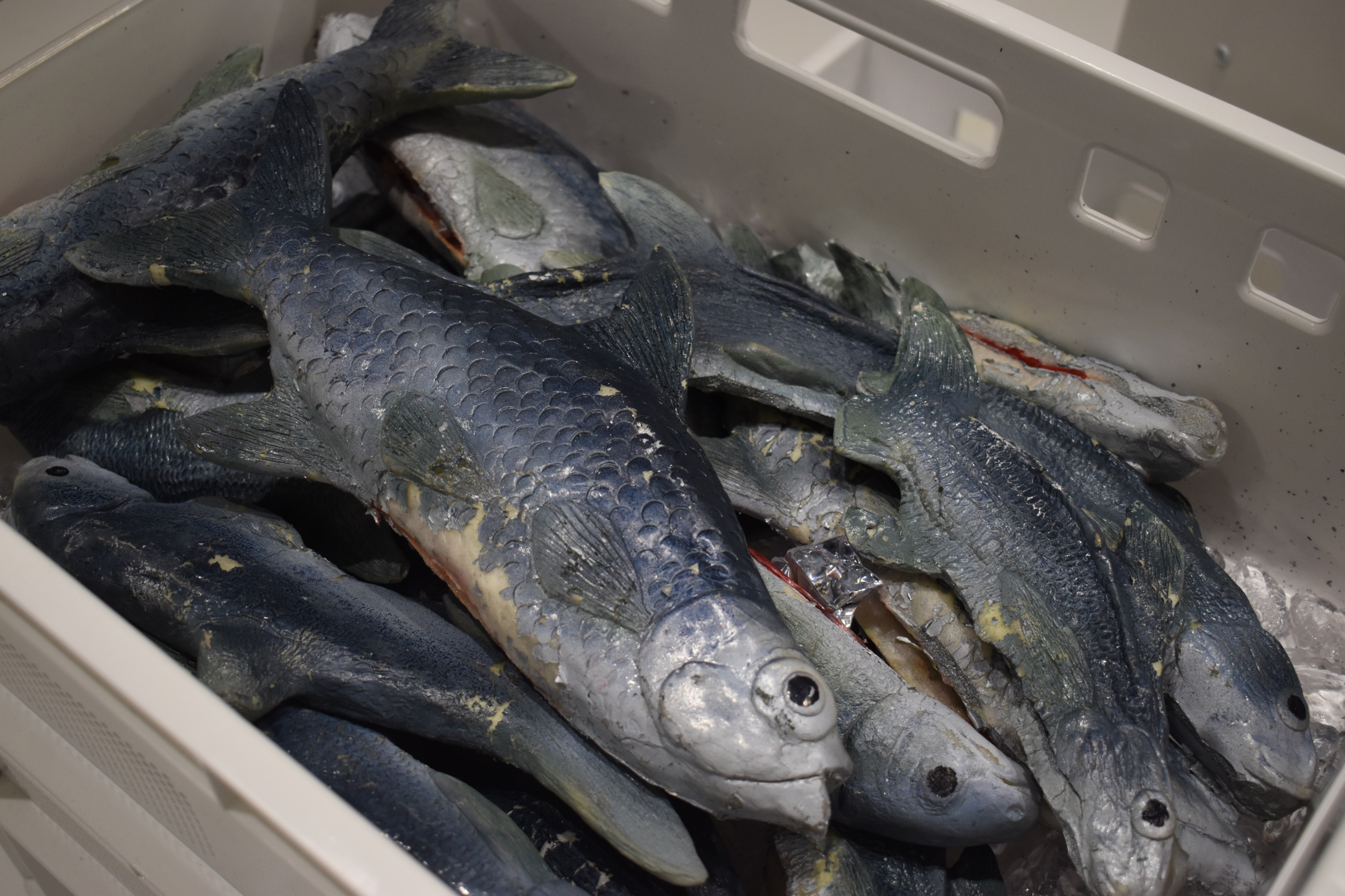 «Peter Grimes», Luzerner Theater