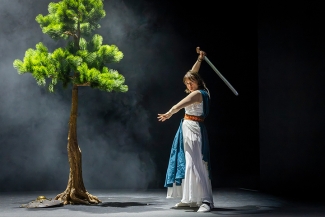 Der Raub der Sabinerinnen, Luzerner Theater, Foto: Ingo Hoehn